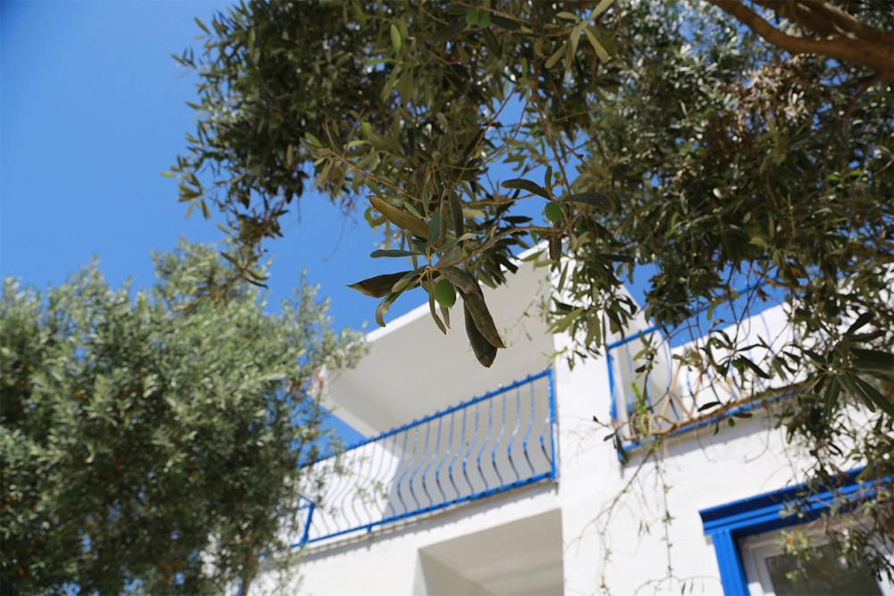 Zeytin Dali Butik Otel