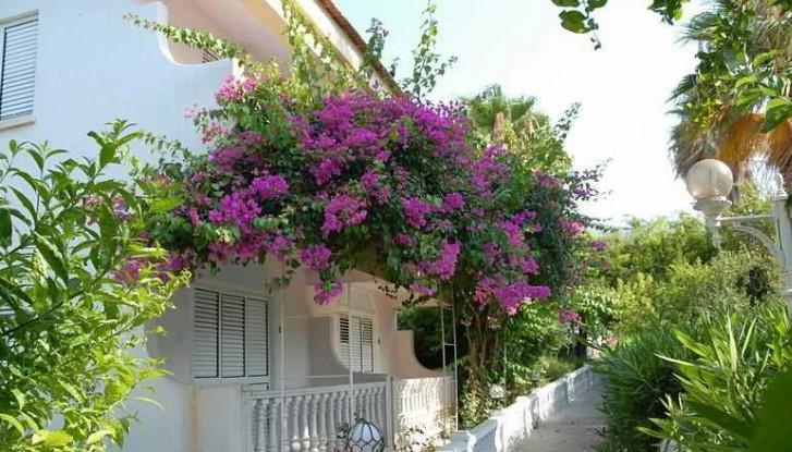 Pitoresk Holiday Village