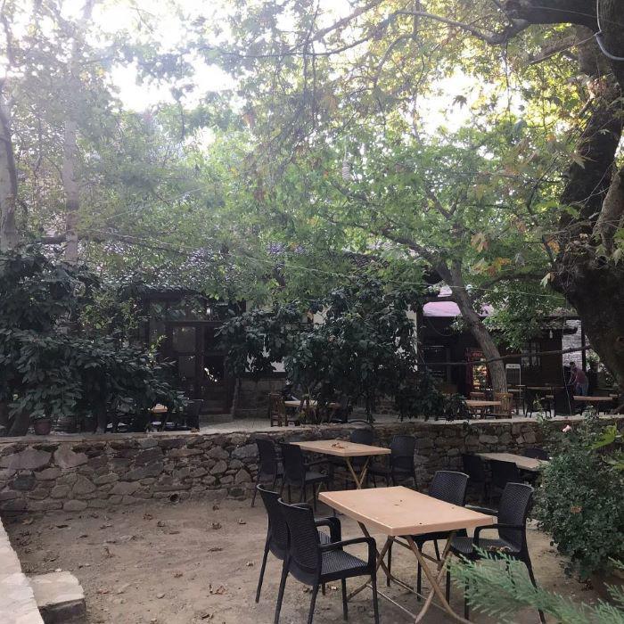 Birgi Çınaraltı Pansiyon
