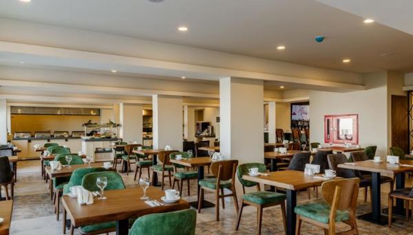 Olivia Palm Hotel