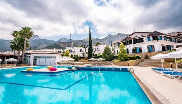 The Olive Tree Hotel