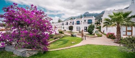 The Olive Tree Hotel