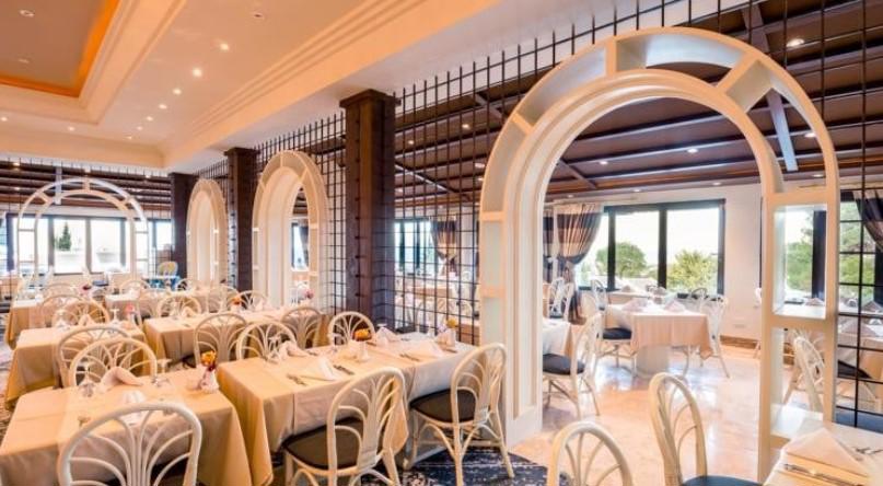The Olive Tree Hotel