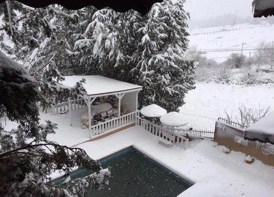 Villa Pine Garden