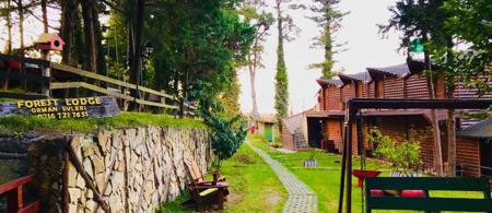 Ağva Orman Evleri Forest Lodge