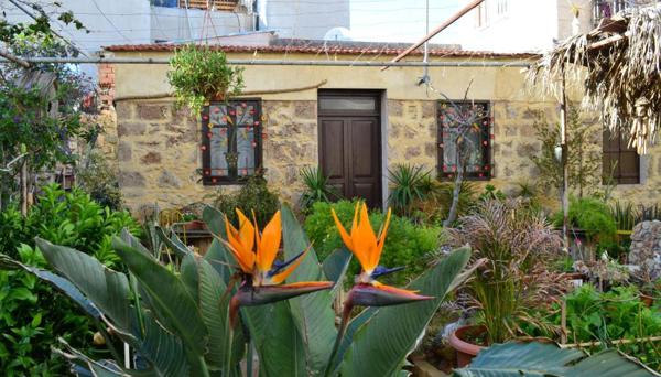 Mystery Garden Guest House