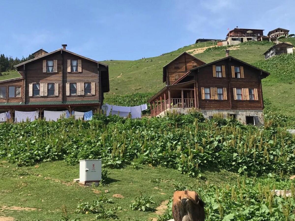 Pokut Inn