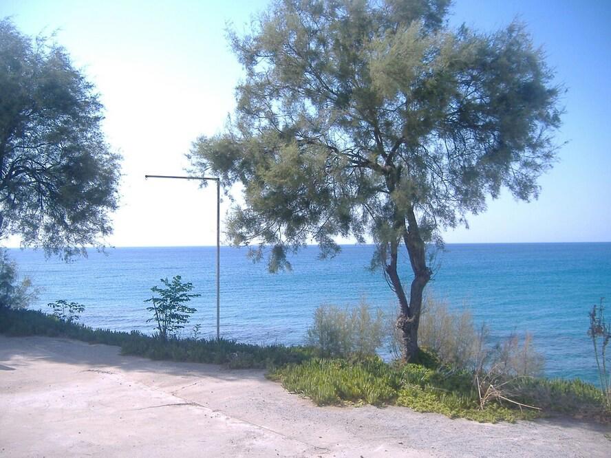 Theresa Hotel