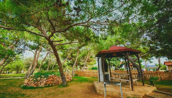 The Pine View