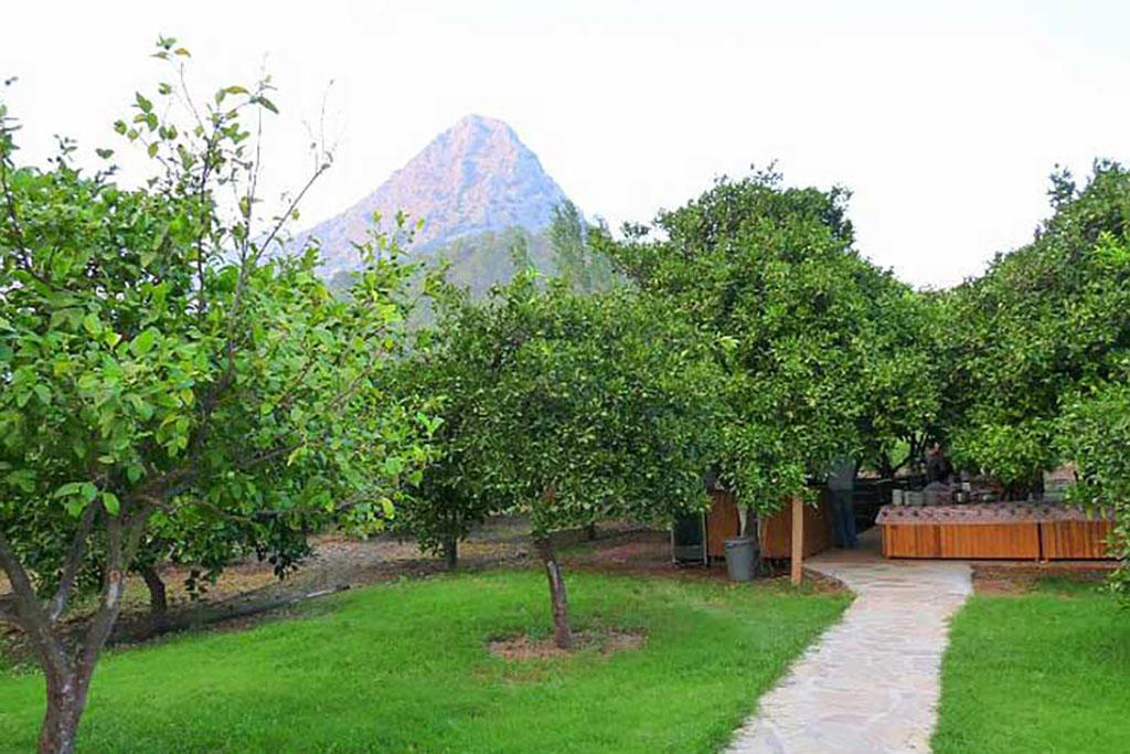 Portakal Bahçesi