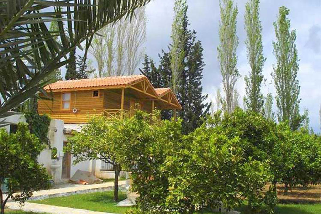 Portakal Bahçesi