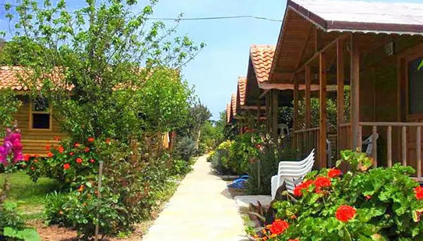 Portakal Bahçesi