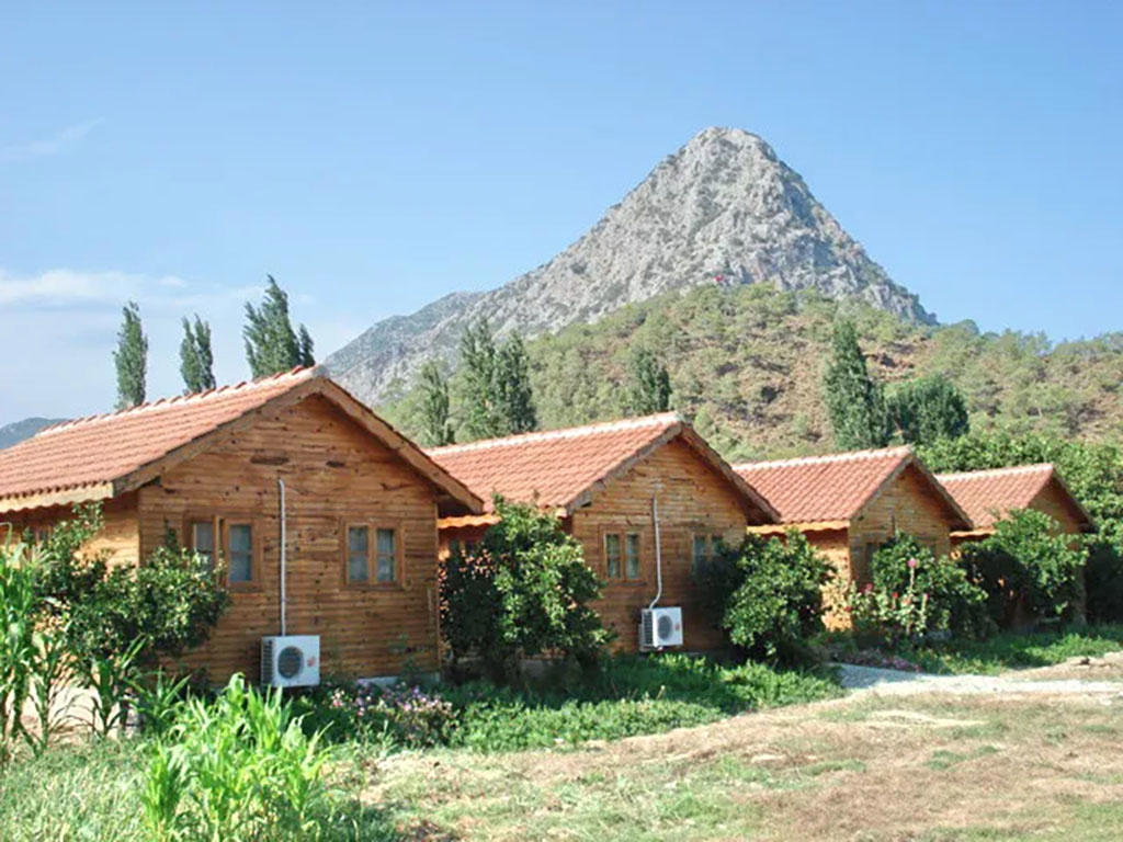 Portakal Bahçesi