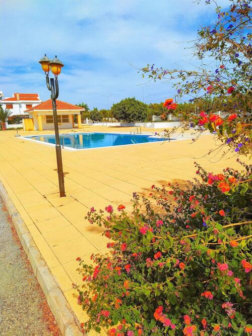 Salamina Houses