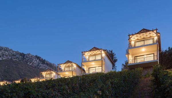 Gillham Vineyard Hotel