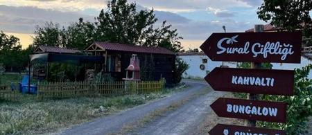 Sural Çiftliği