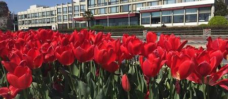 Kalyon Hotel İstanbul