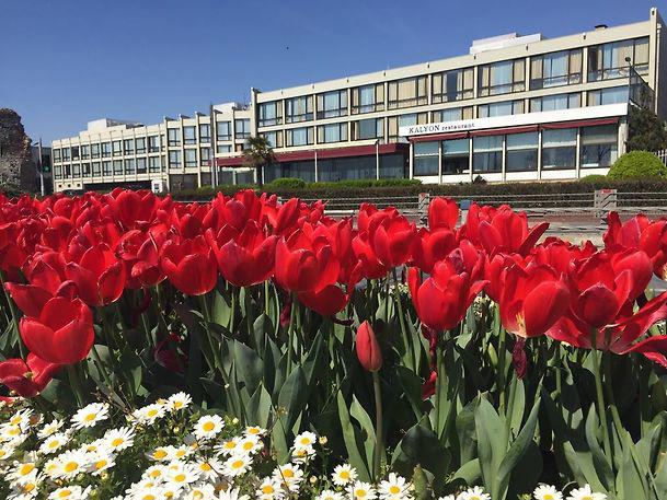 Kalyon Hotel İstanbul
