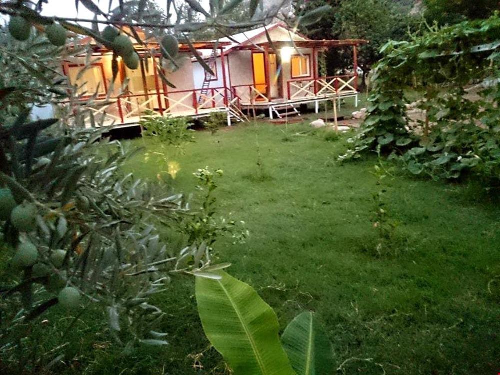 Calba Garden House