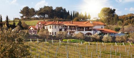 Vinifera Vineyards Hotel