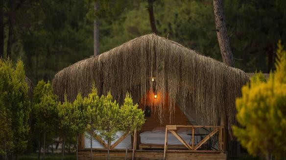 Green Pine Beach & Bungalows