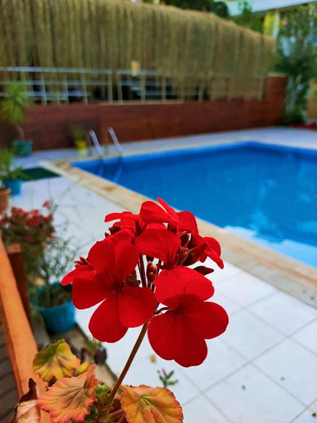 Eldorado Otel