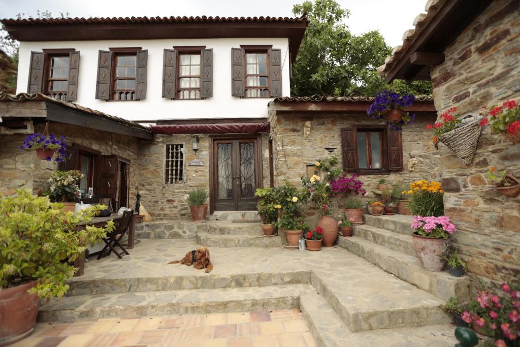 Ephesus Cottages