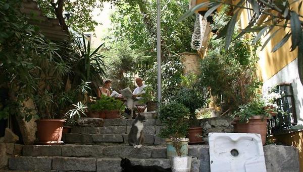 Noble House Galata