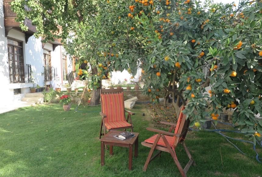 Ephesus Paradise