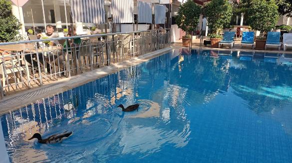 Hotel Barlas Fethiye