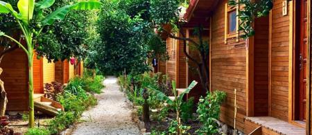 Sheriff Olympos Pension