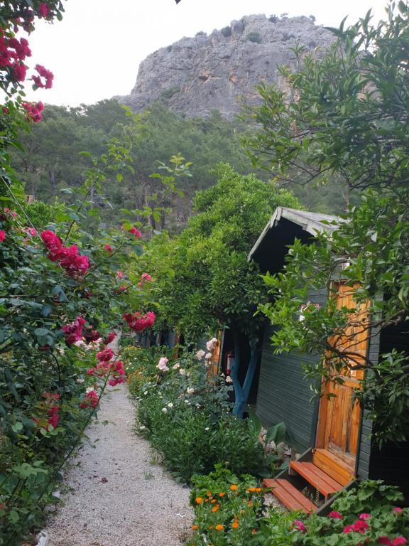 Olympos Tatilya Pansiyon