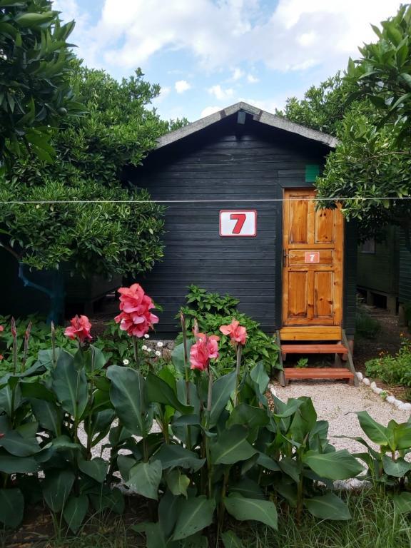 Olympos Tatilya Pansiyon