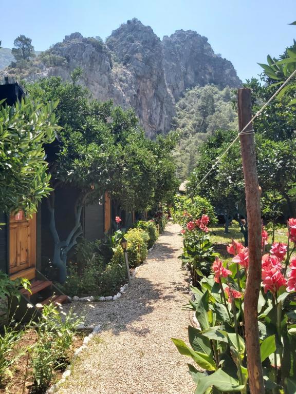 Olympos Tatilya Pansiyon