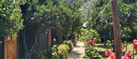 Olympos Tatilya Pansiyon