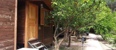 Olympos Varuna Pansiyon