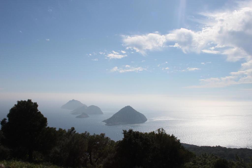 Simurg Evleri Olympos