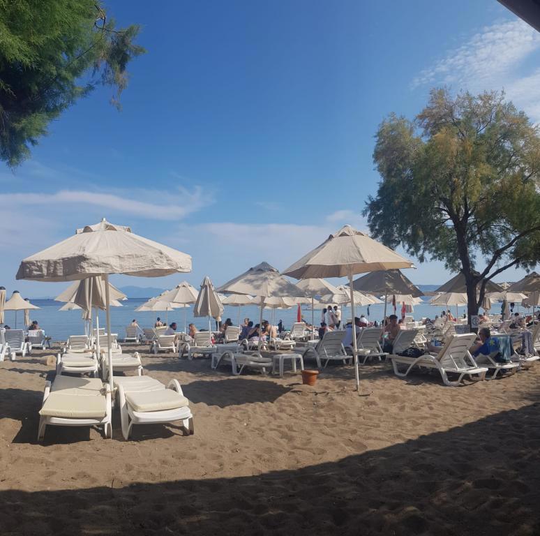 Viras Otel Ortakent