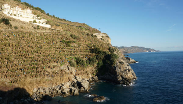 Blue Lagoon Village