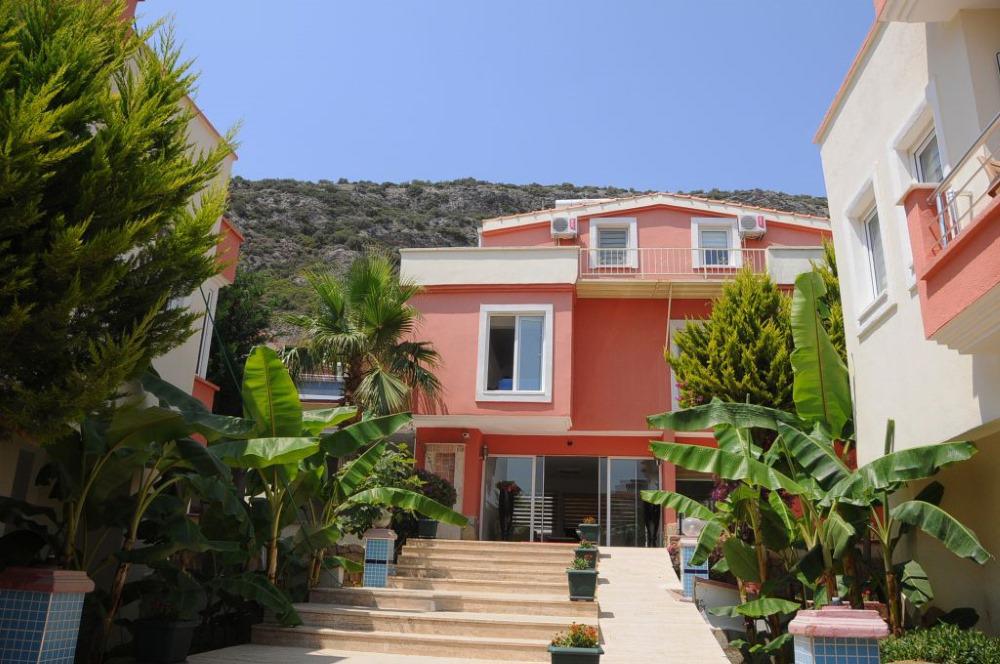 Ania Garden
