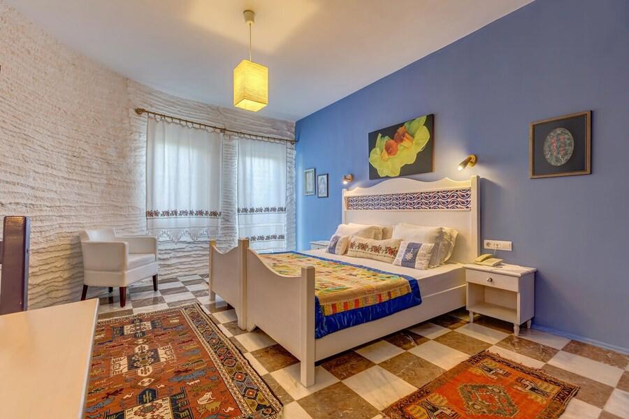 Villa Asina