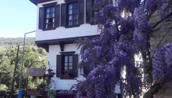 Doktor'un Evi Deluxe Boutique Hotel