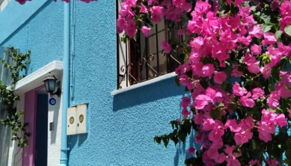 Casa Magnolia Boutique Rooms