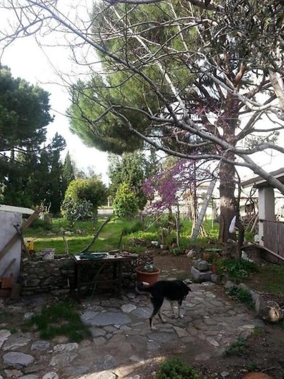 Ecer Pansiyon