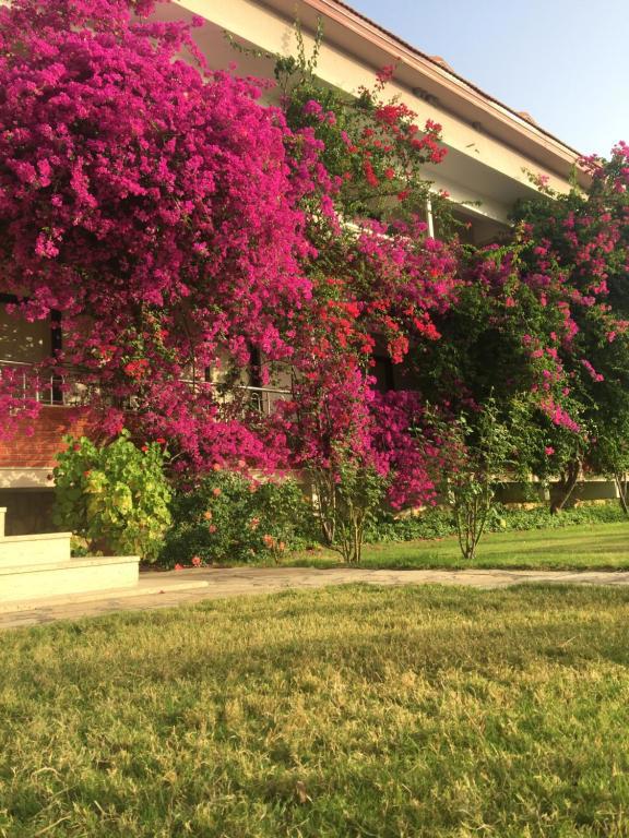 Dalyan Palmiye Resort