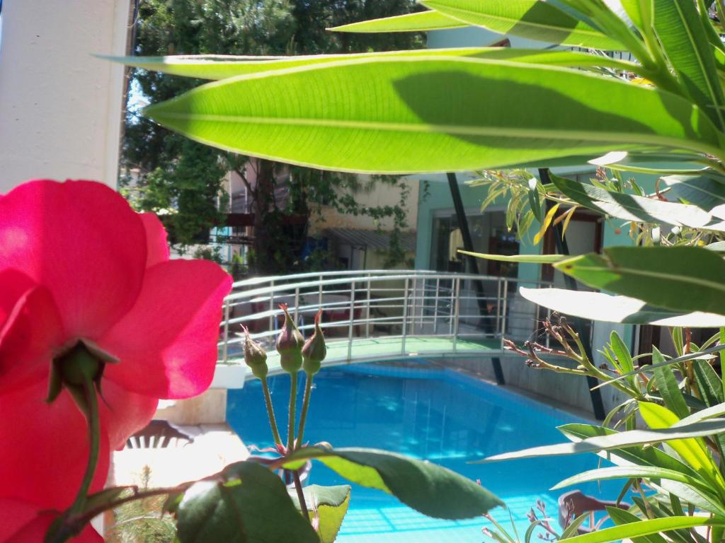 Dalyan Terrace Hotel