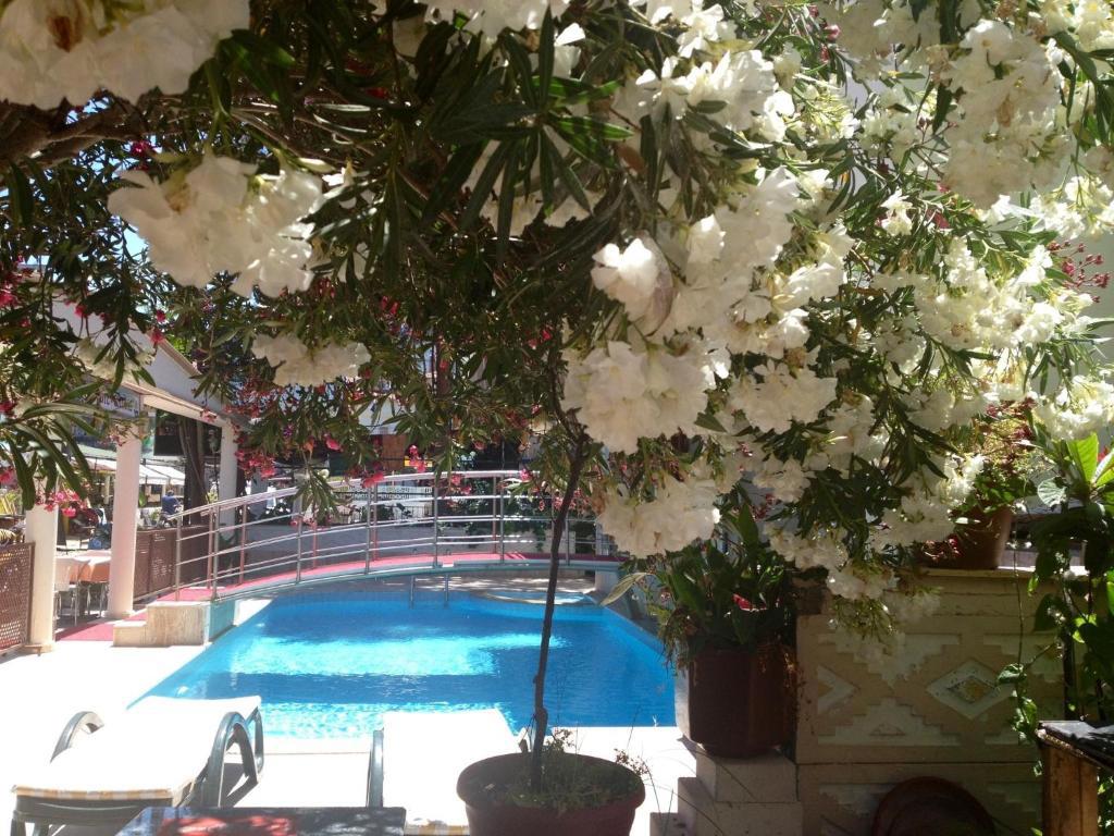 Dalyan Terrace Hotel