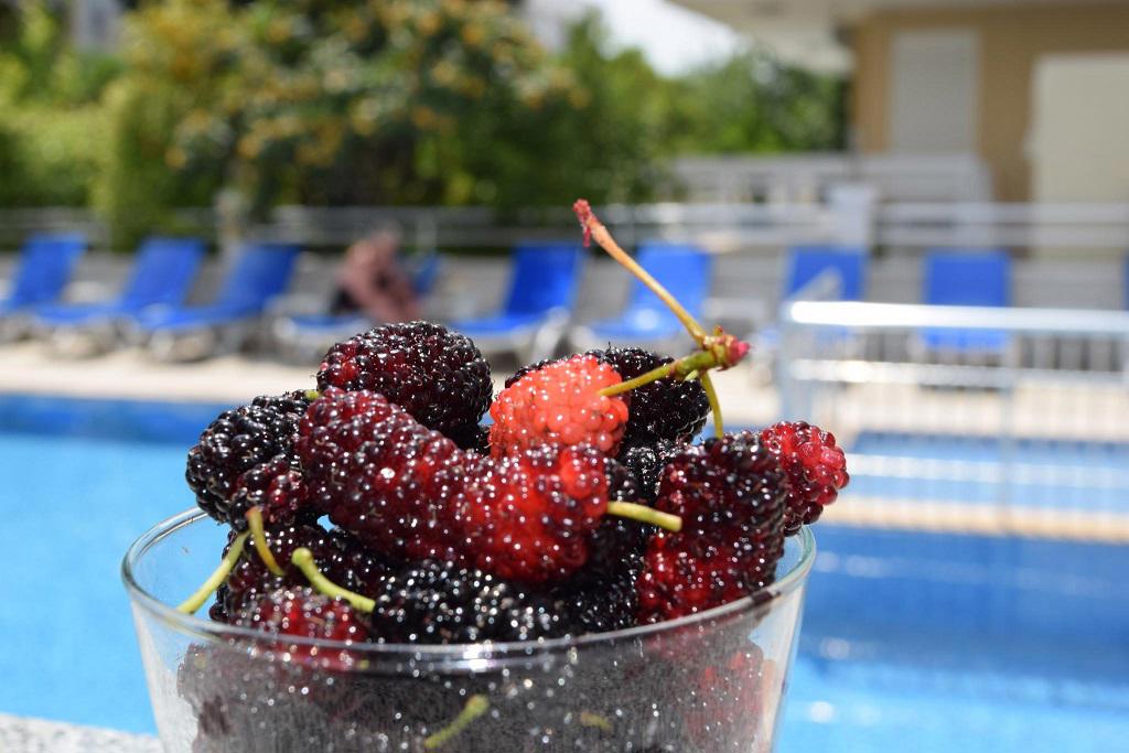 Güden Pearl Apart Hotel