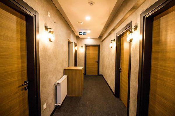Hit Suites