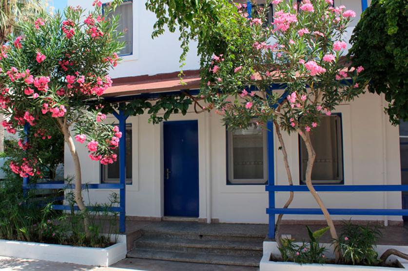 Alize House